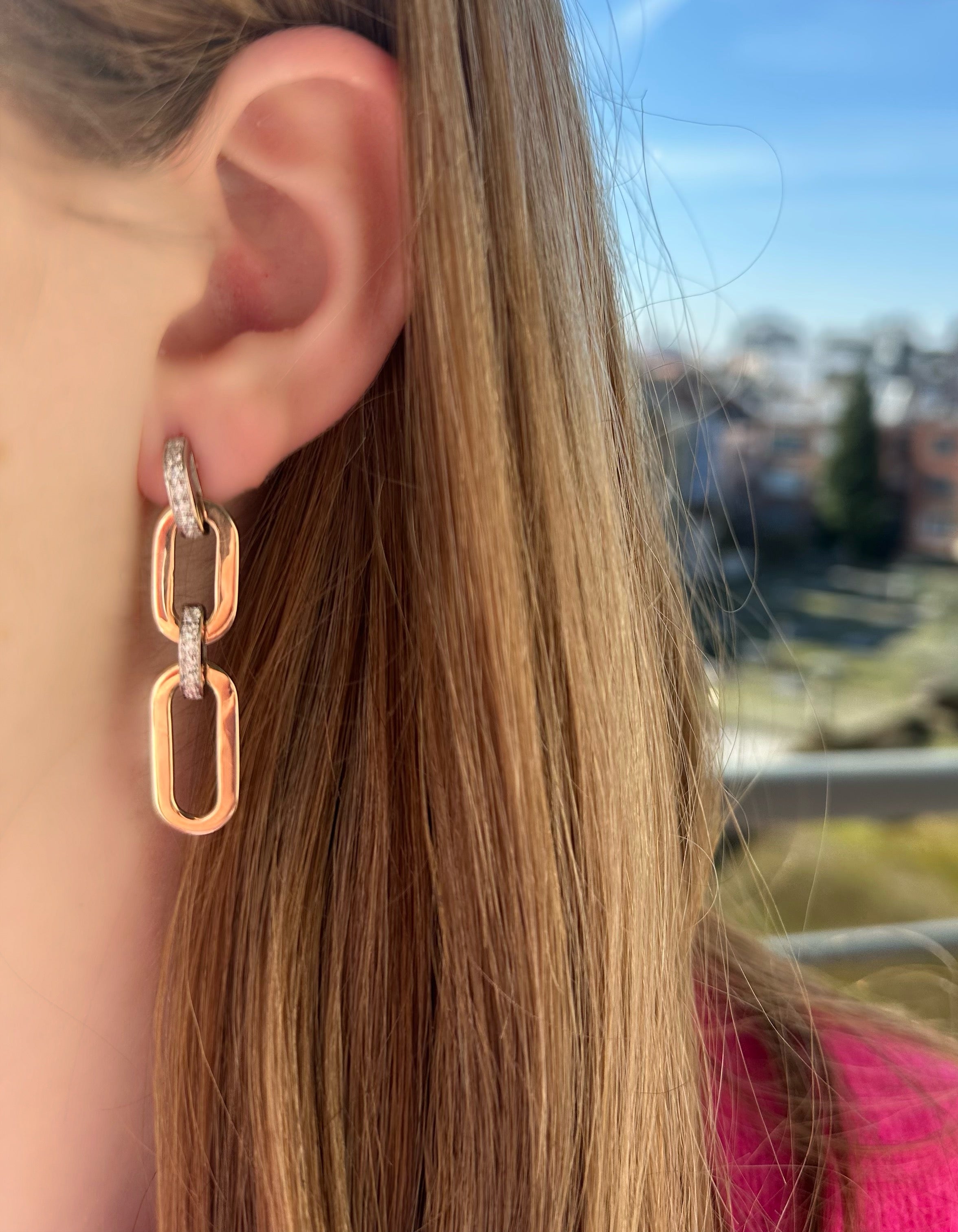 Two Tone Link Earrings